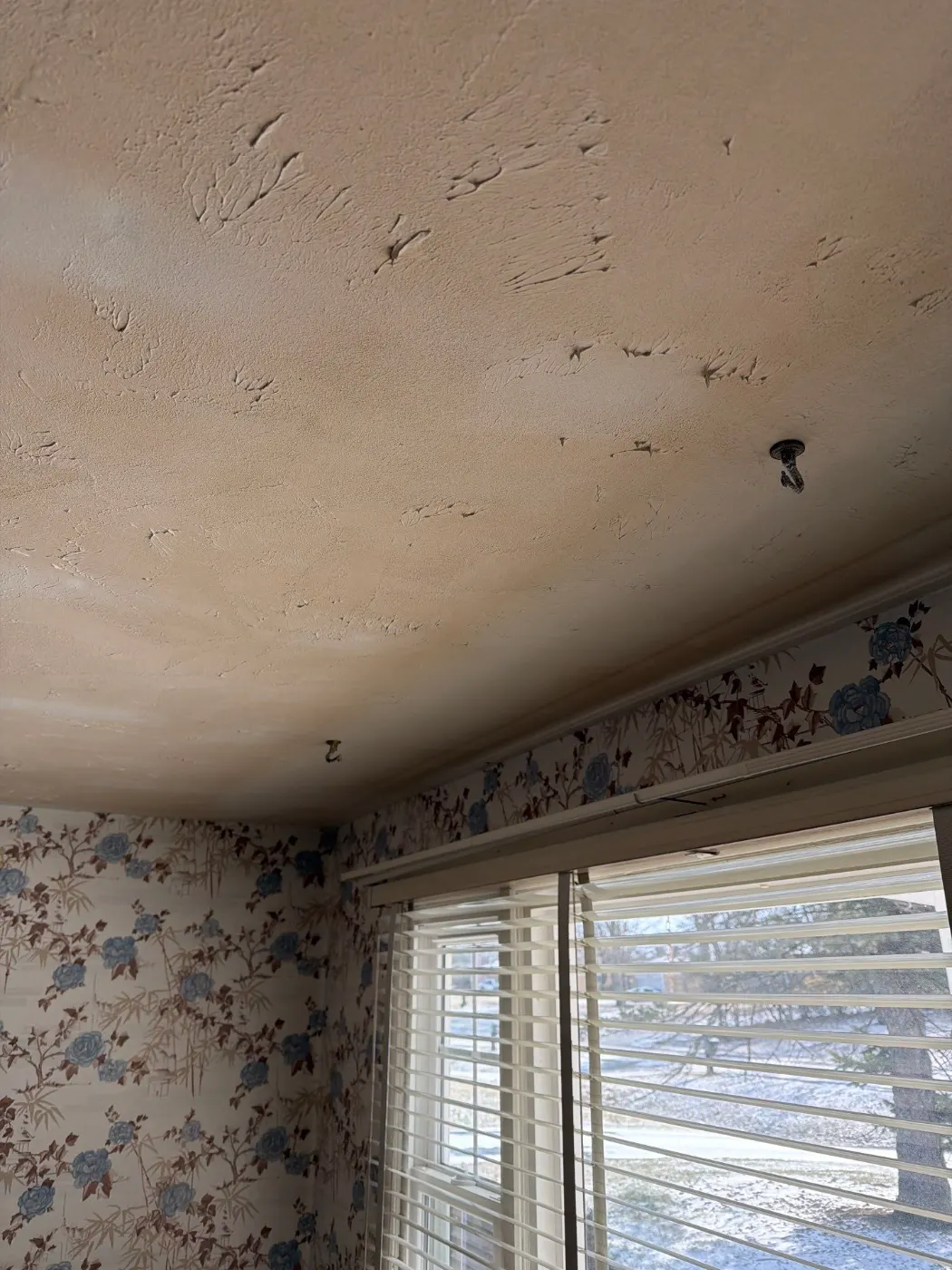 Thermal imaging during water damage assessment in Berkshire residence